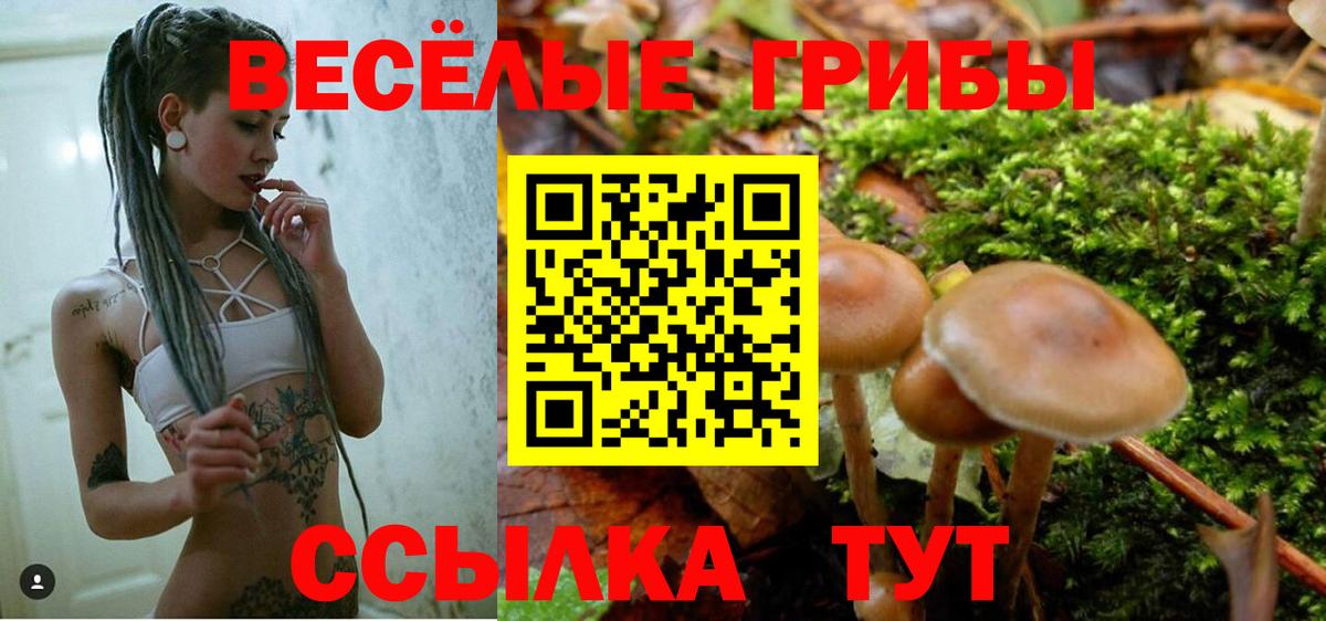 купить наркоту  Вход с VPN  Отрадное  Псилоцибиновые грибы прущие грибы 